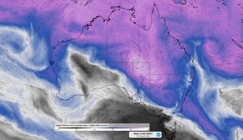 Image: Modelled precipitable water and wind 10m wind at 2pm AEDT on Wednesday, February 25, 2026. Source: Weatherzone.