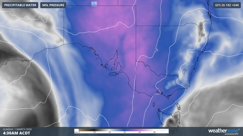 Image: Forecast precipitable water levels (atmospheric moisture available for rainfall) and mean sea level pressure early on Sunday, March 1, 2026. Source: Weatherzone