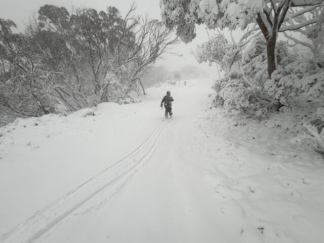 Image: A cross-country skier in the NSW Snowy Mountains in the unseasonable snowy outbreak of late March, 2026. Source: Steve Smith
