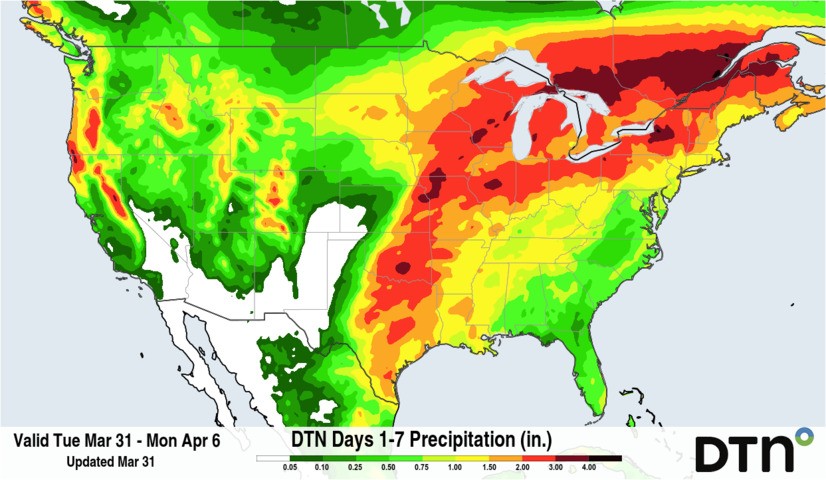 Image: Forecast accumulated precipitation during the next 7 days. Source: DTN.