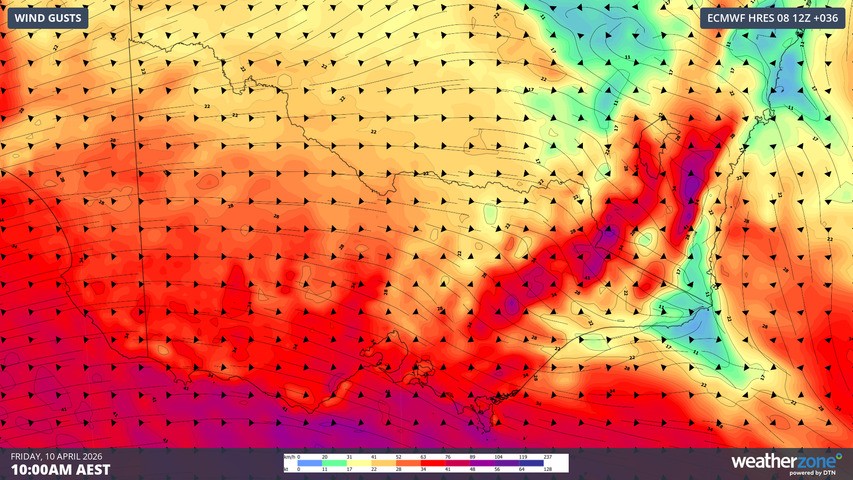 Image: Gusts could be at their strongest on Friday morning, with dark purple equating to around 100 km/h. Source: Weatherzone