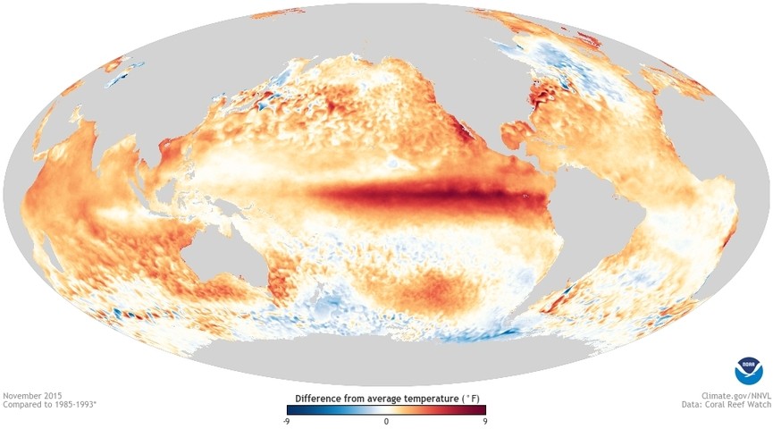 Image: Sea surface temperature anomalies during the 2015-16 'super El Niño' event. Source: NOAA.