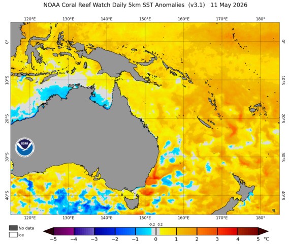 Image: Sea surface temperature anomalies near Australia on May 11, 2026, showing areas of abnormally warm water in the Tasman Sea. Source: NOAA.