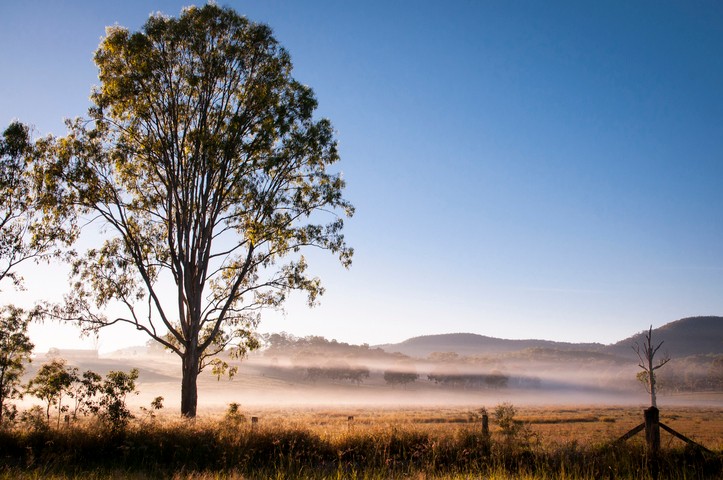 Image: Many people across Queensland woke up to a chilly Saturday morning.. Source: iStock – Mellyd-100