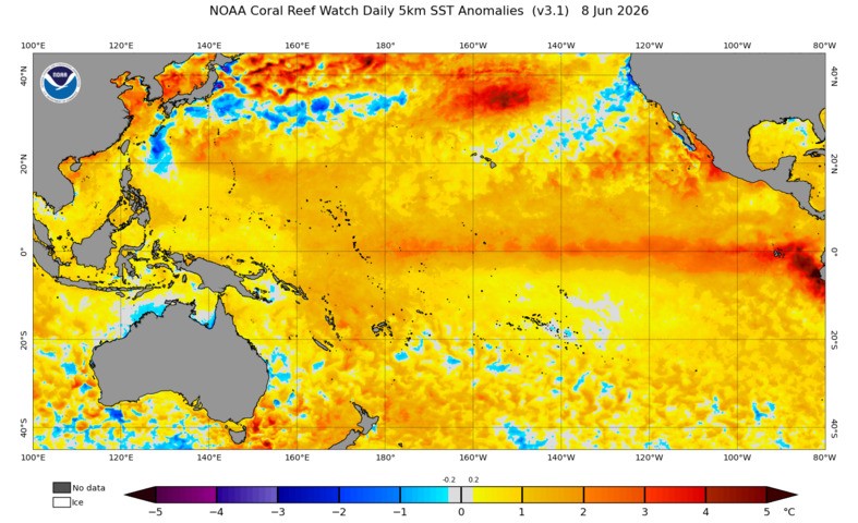 Image: Pacific Ocean sea surface temperature anomalies on June 8, 2026. Source: NOAA.