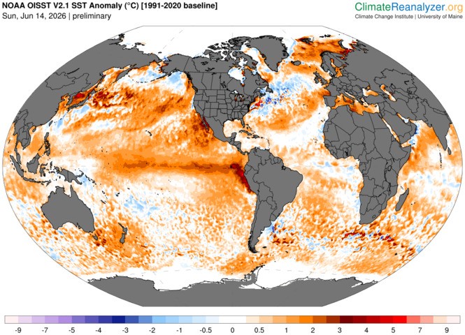 Image: Global sea surface temperature anomalies on June 14, 2026, showing an El Niño pattern in the tropical Pacific Ocean. Source: ClimateReanalyzer.org.
