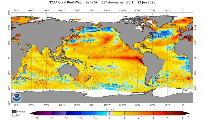 Image: Global sea surface temperature anomalies on June 22, 2026. Source: NOAA.