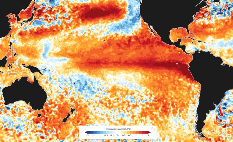 Image: Sea surface temperature anomalies in the Pacific Ocean on July 4, 2026. Source: ECMWF / Copernicus.