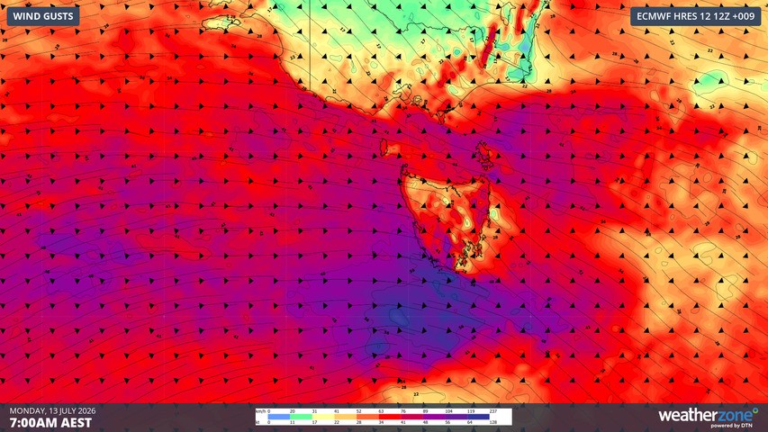 Image: 10m wind gusts for Tasmania and nearby parts of the mainland at 7 am (AEST) on July 13, 2026. Source: Weatherzone