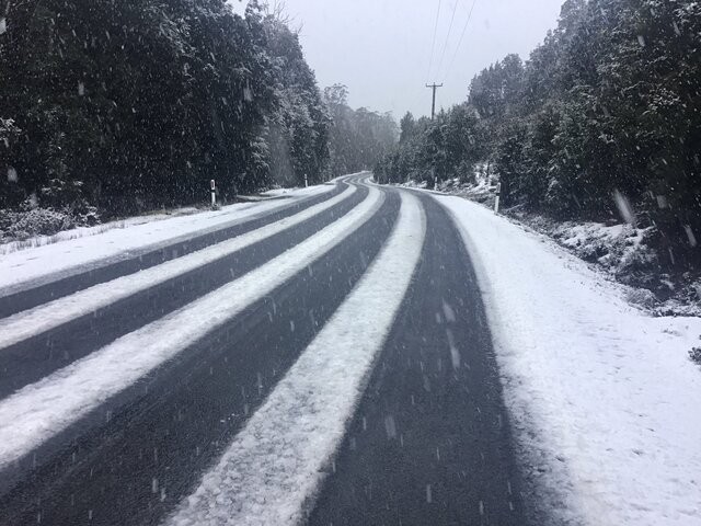 Image: The road to Tasmania's Cradle Mountain Visitor Centre on the morning of July 14, 2026. Source: Mike Pole