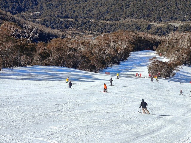 Image: A decent cover comprised of natural and snowmaking snow on the upper part of Thredbo's High Noon run, while the valley remains snow-free. Source: Rusty J