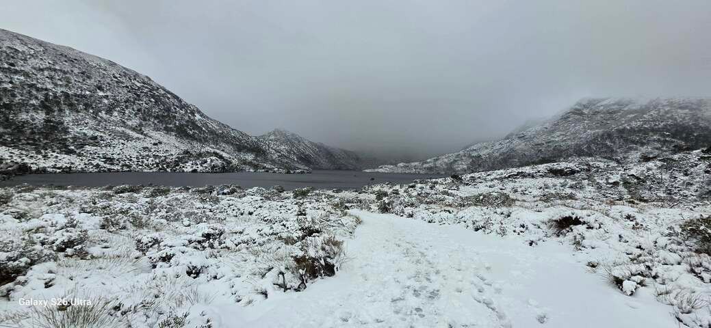 Image: Snow at Cradle Mountain, Tasmania on Friday, July 24, 2026. Source: @damobozo / Threads.