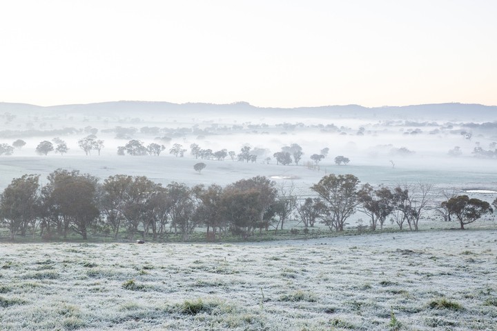 Image: Image: First light as shallow fog covers a frosty countryside. Source: Source: iStock - burroblando