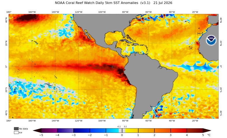 Image: Sea surface temperature anomalies in the tropical Pacific and Atlantic Oceans, showing distinct El Niño and Atlantic Niña patterns. Source: NOAA.