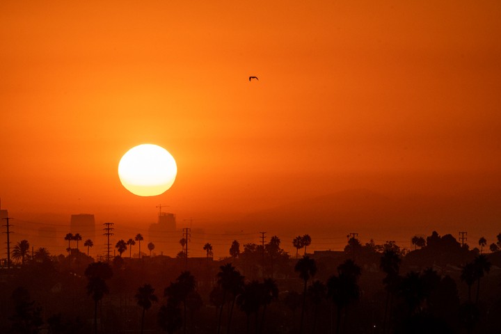 Image: Sunrise over Los Angeles. Source: iStock / johnemac72.