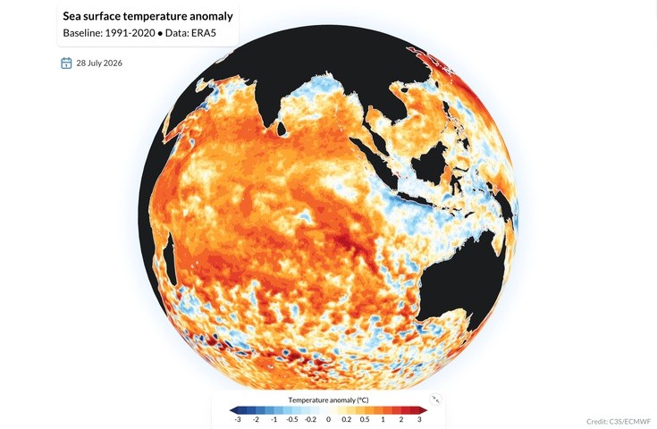 Image: Sea surface temperature anomalies on July 28, 2026. Source: ECMWF / Copernicus.