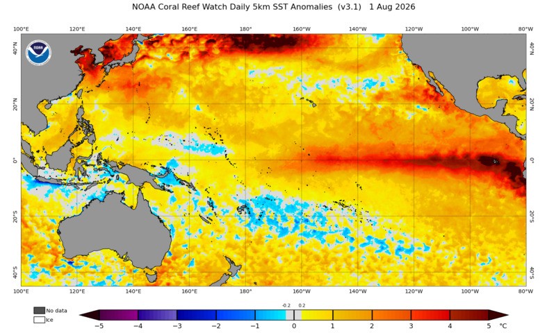 Image: Sea surface temperature anomalies in the tropical Pacific Ocean on August 1, 2026. Source: NOAA.