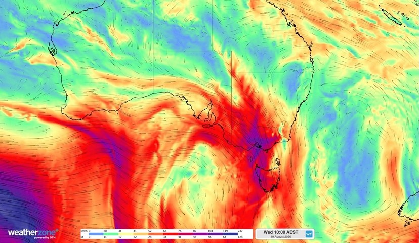 Image: Forecast 850 hPa wind speed and direction at 10am AEDT on Wednesday, August 19, 2026. Source: Weatherzone.