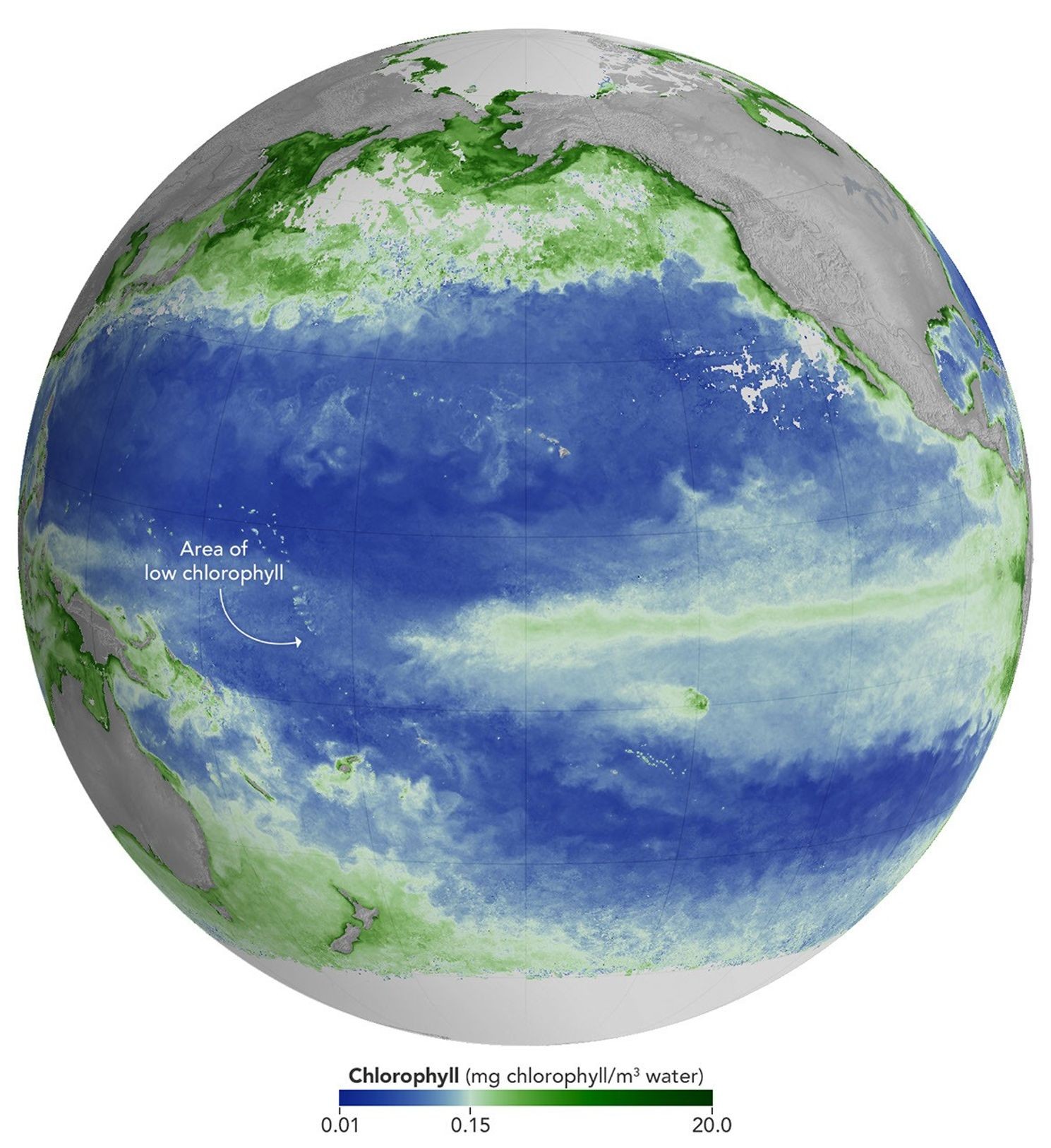 Image: Concentration of chlorophyll-a in the Pacific Ocean in June 2026. Source: NASA-PACE / Michala Garrison.
