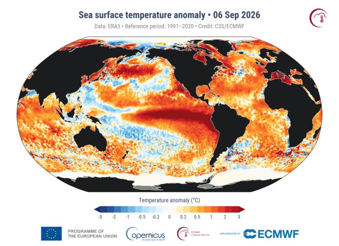 Image: Global sea surface temperature anomalies on September 6, 2026. Source: ECMWF / Copernicus.