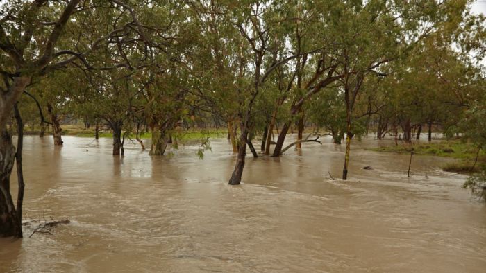Heavy rain in central Queensland celebrated as 'a blessing' for drought-declared areas