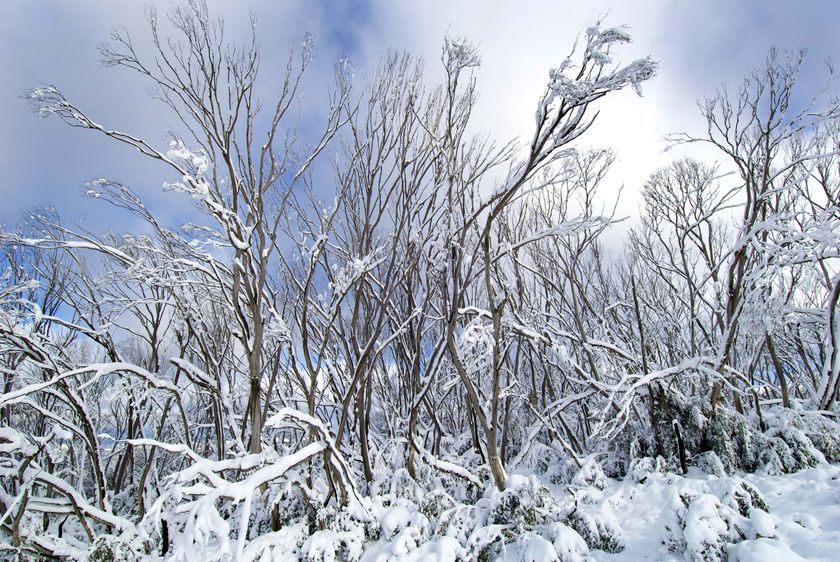 Cold snap set to stay