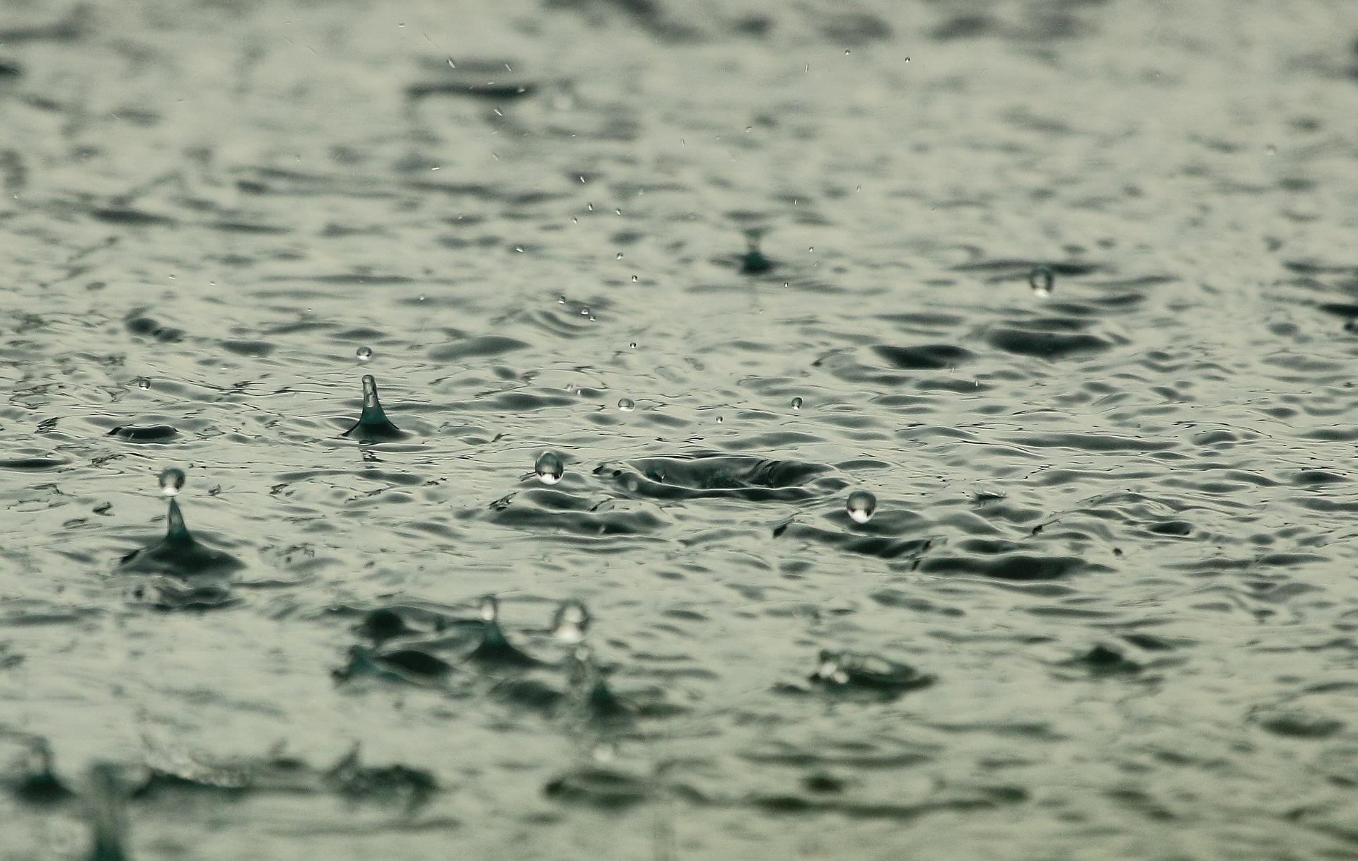 This week's rain just a drop in Sydney's dams