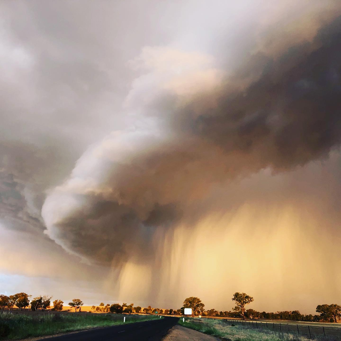 Golden rain and mammatus clouds over NSW