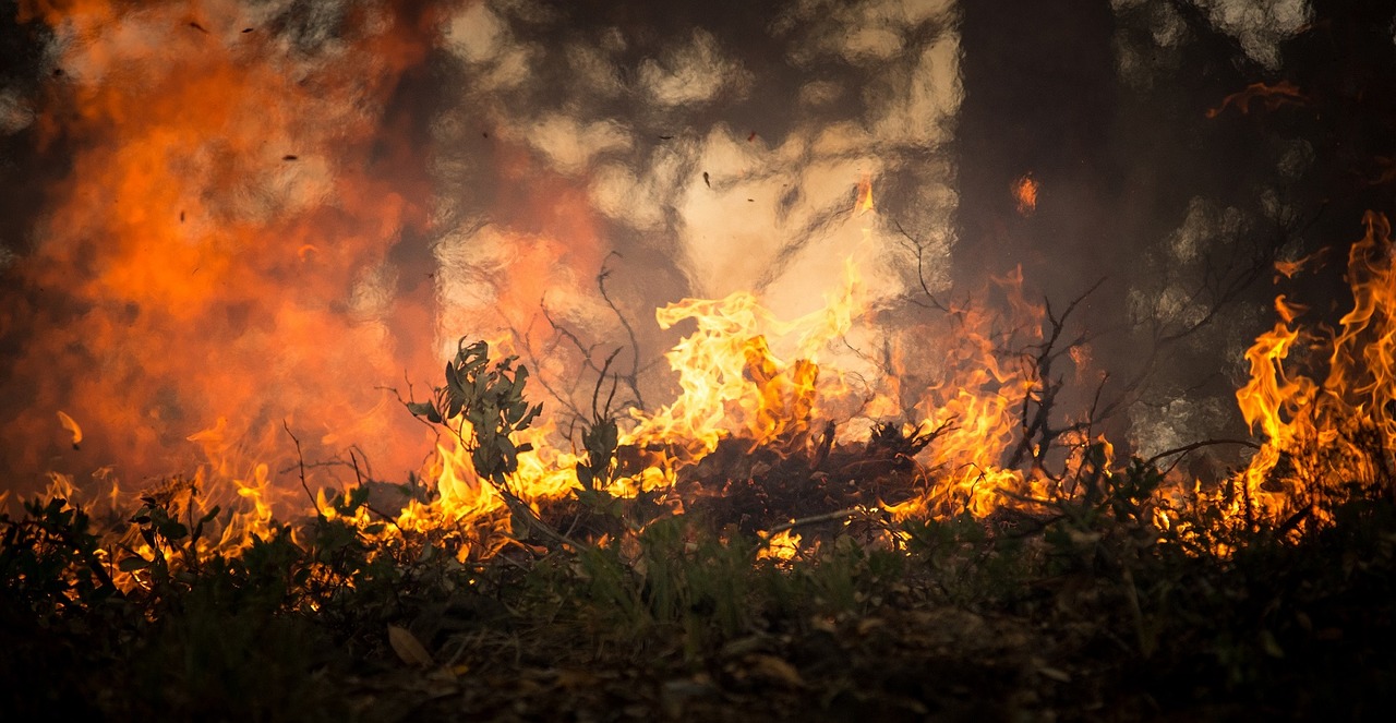 Fire danger rising in eastern Australia