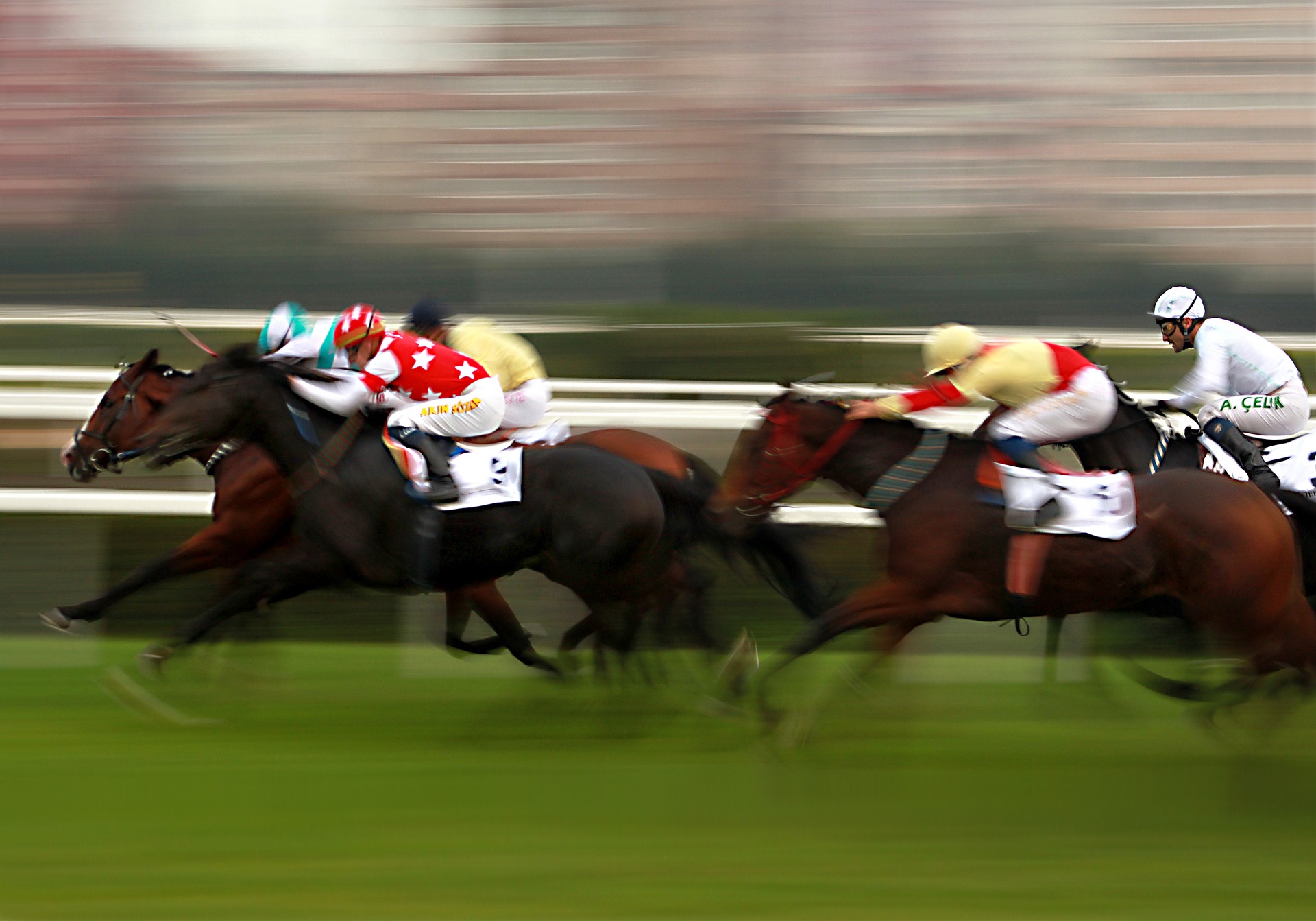 Heat stress on race horses in a changing climate