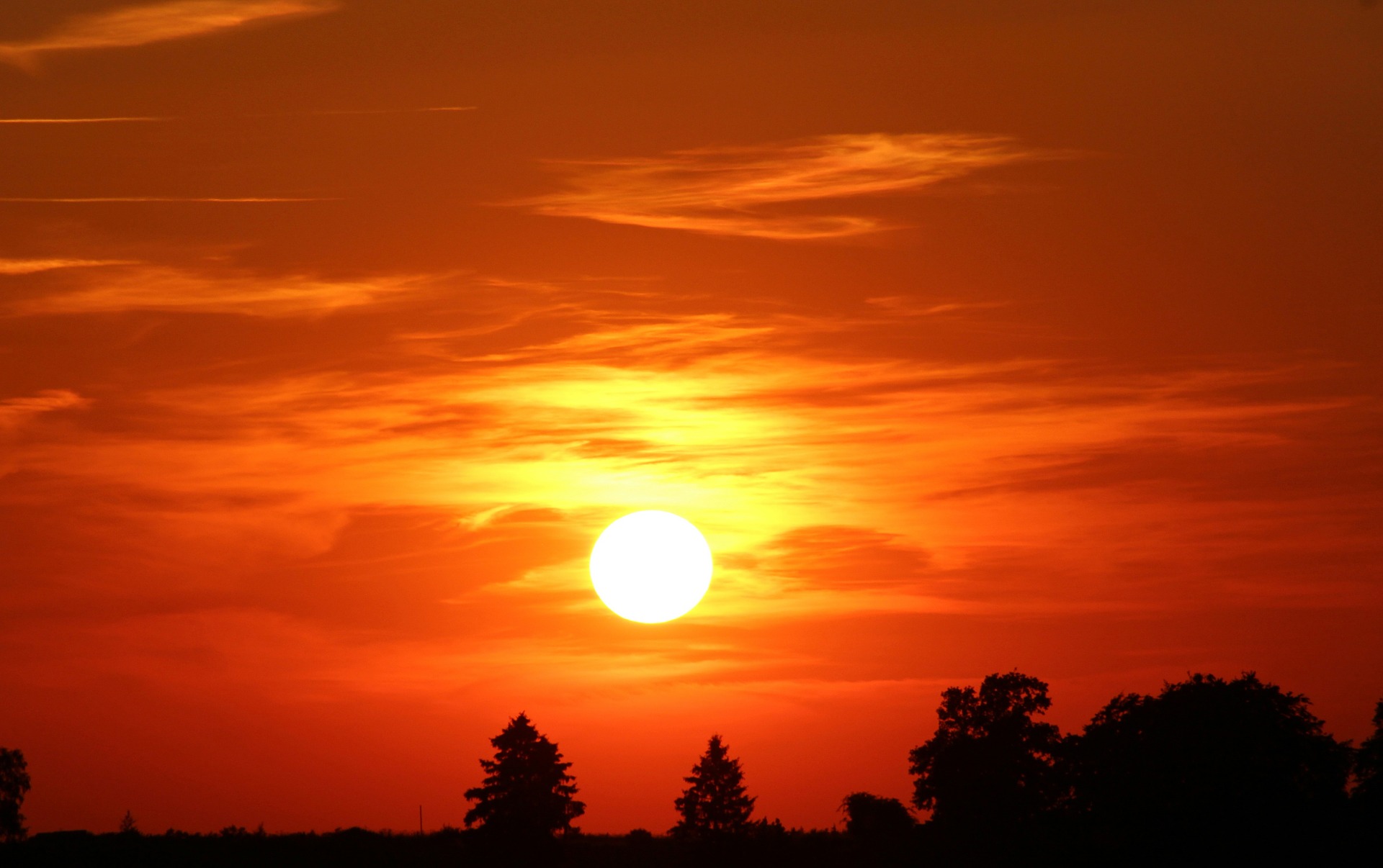 Australia's driest and hottest year on record