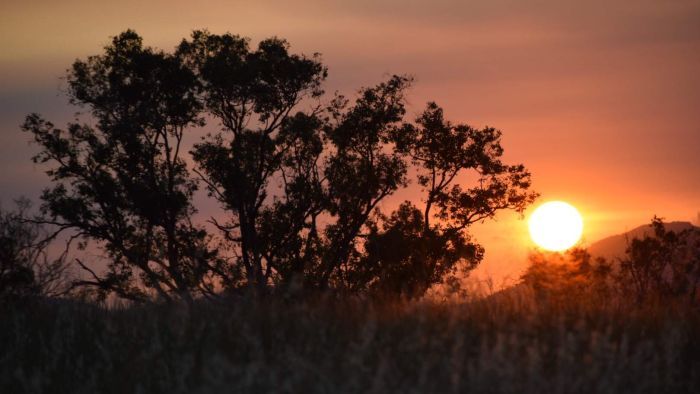 Canberra weather: Rolling blackouts avoided as temperature peaks at 41C