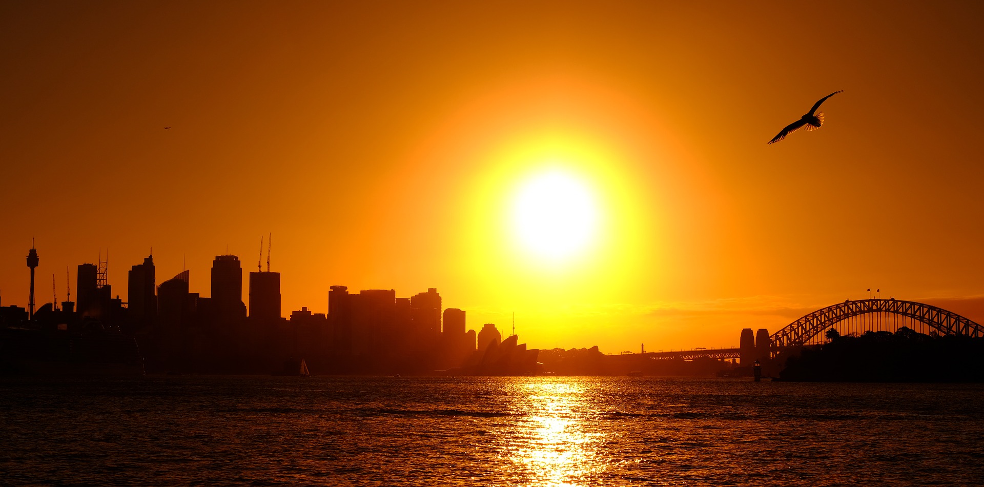 Sydney's hottest day in two years