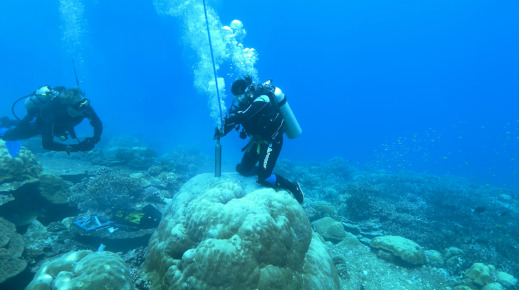 El Nino has rapidly become stronger and stranger, according to coral records