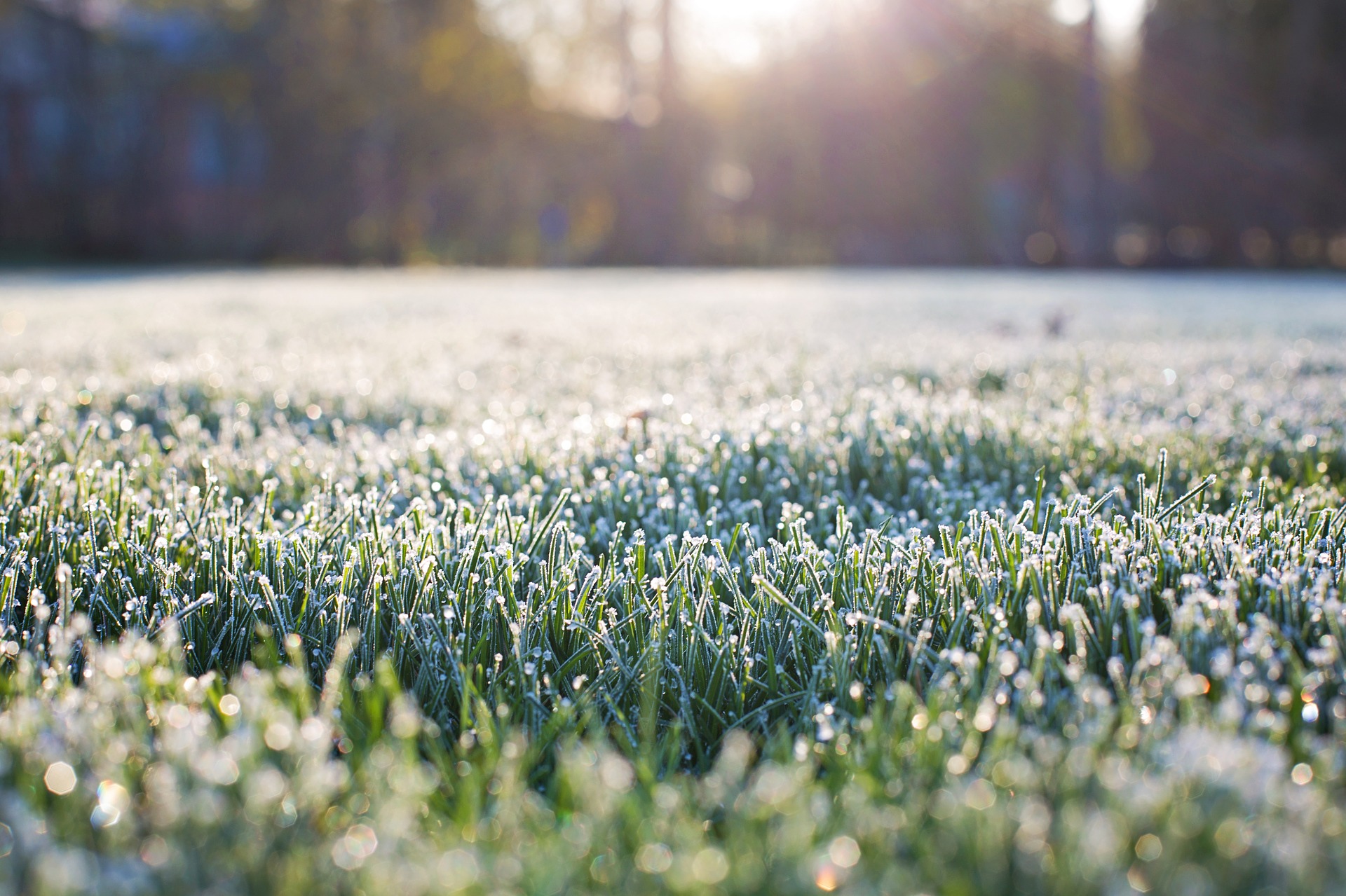 Wintry morning in southern Australia