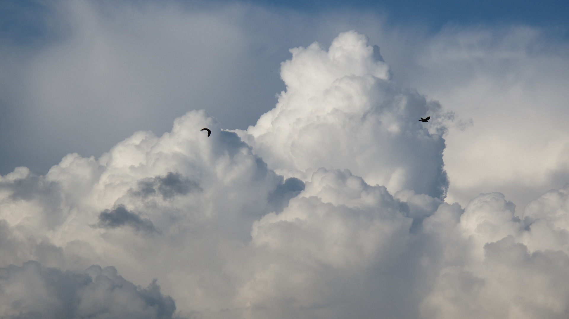 Heavy showers soak NSW coastal fringe