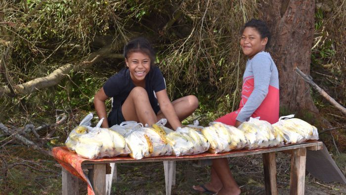 Cyclone Gita might have blown away Tonga's dengue mosquito outbreak