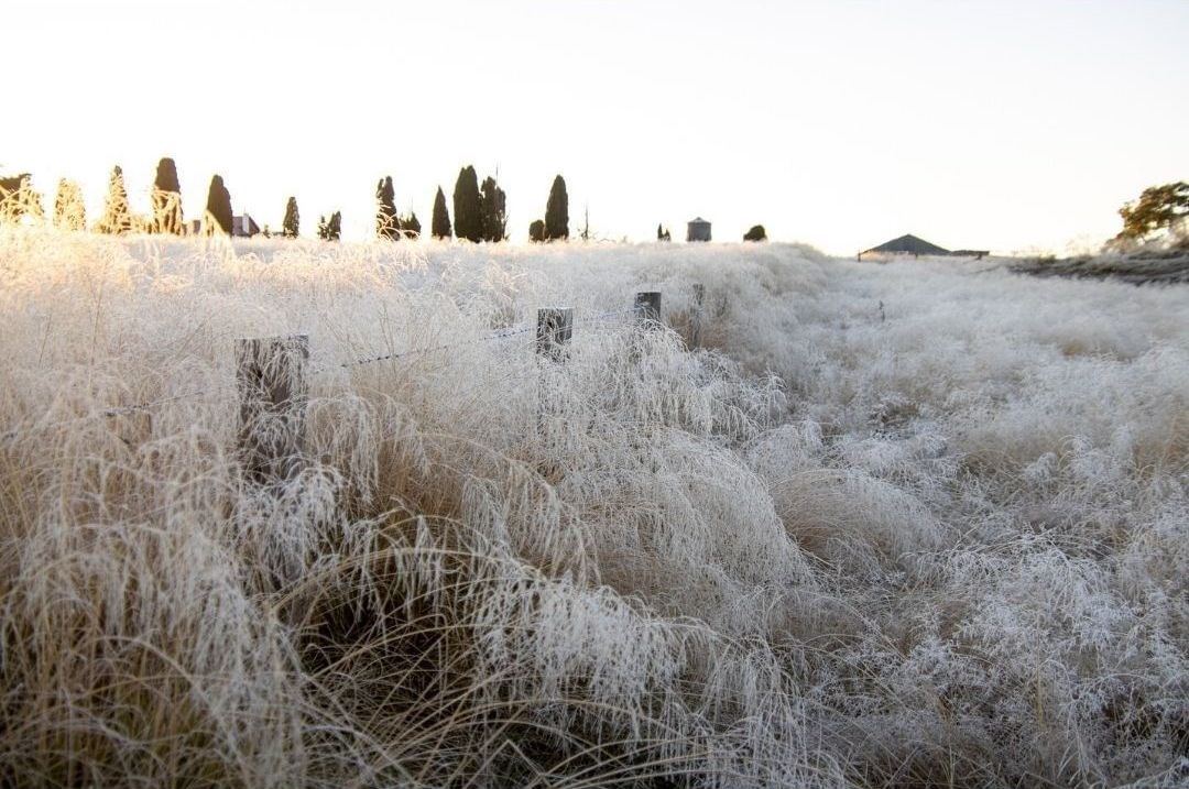 Frosty mornings in southeastern Australia