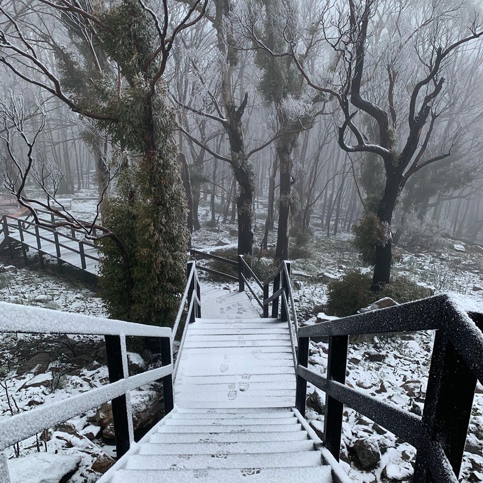 Snow reaches northern NSW