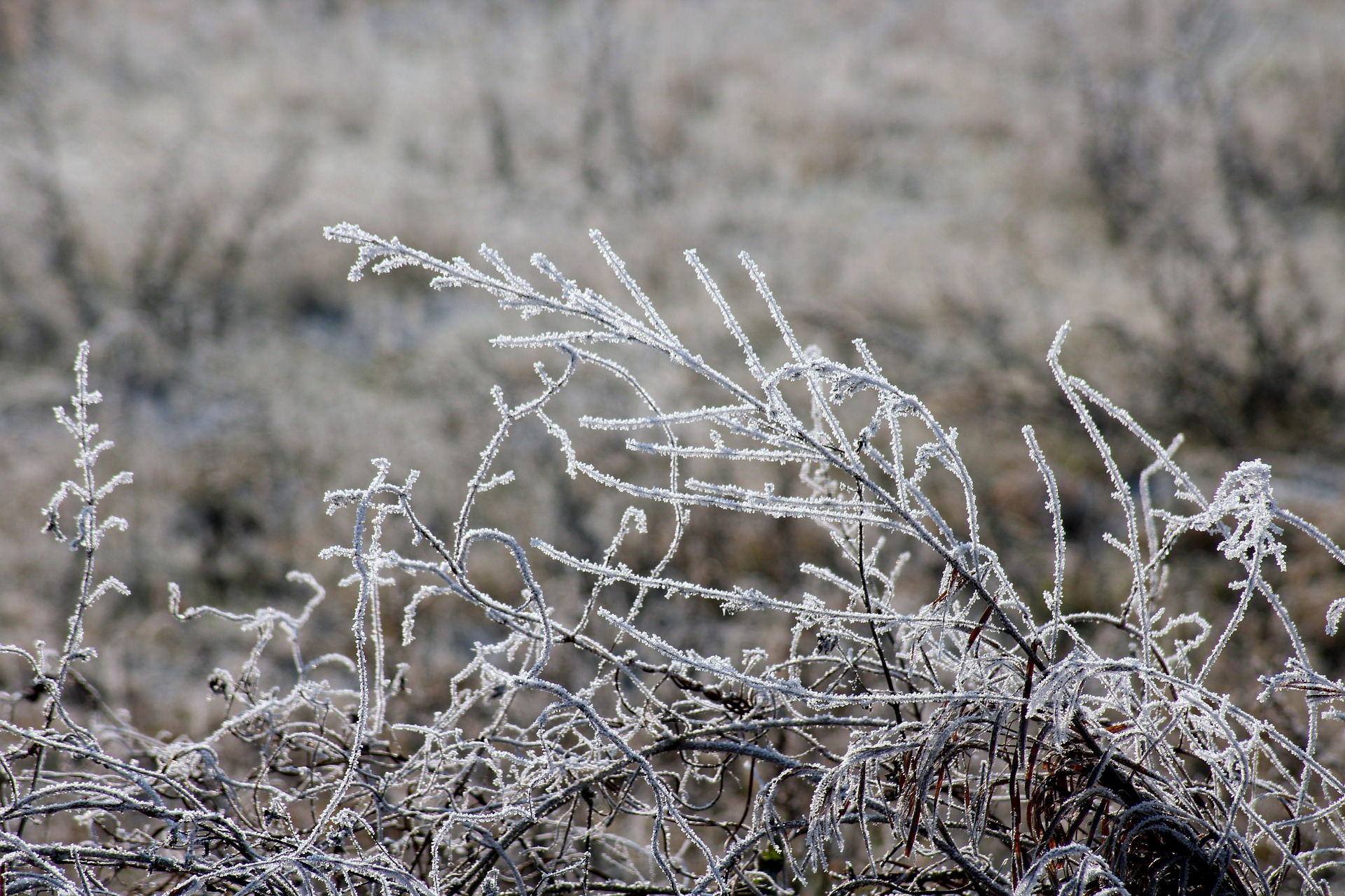 Frosty weekend ahead