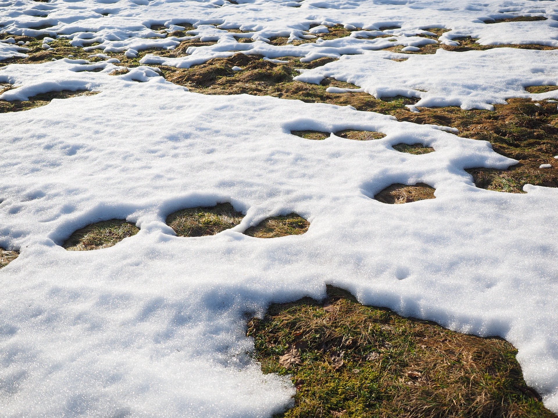 Australian snow update