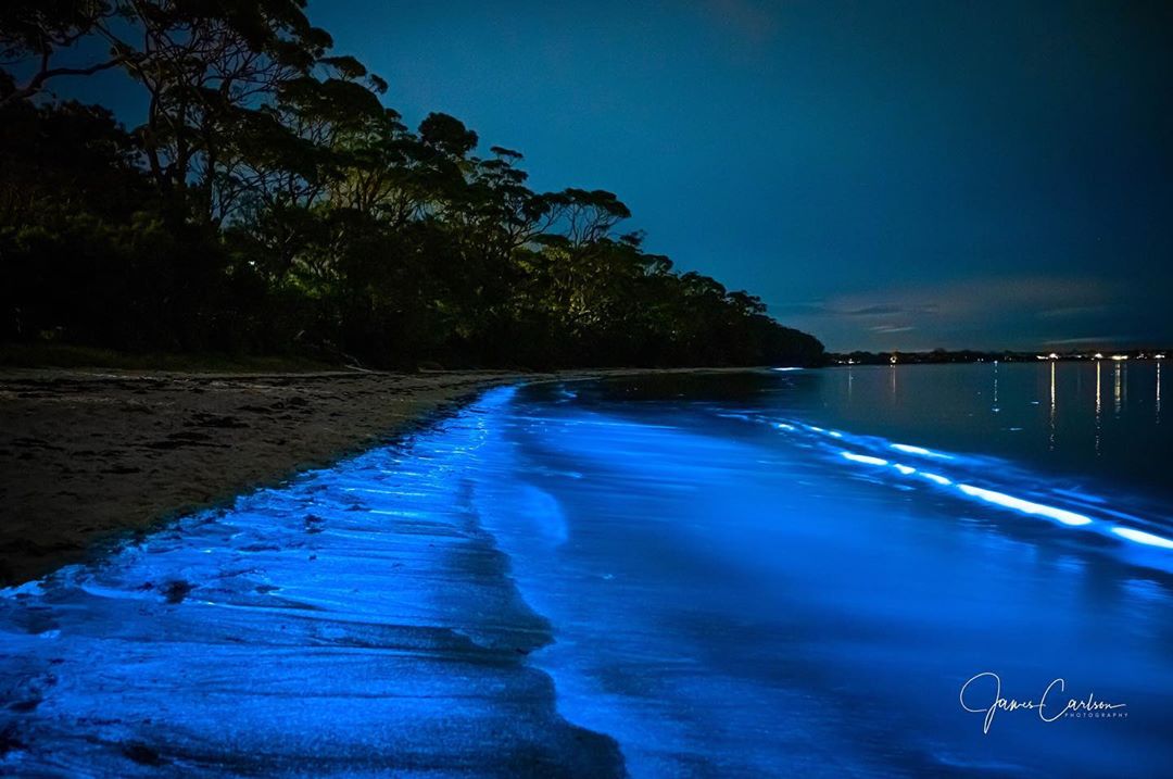 'Blue tide' lights up Jervis Bay