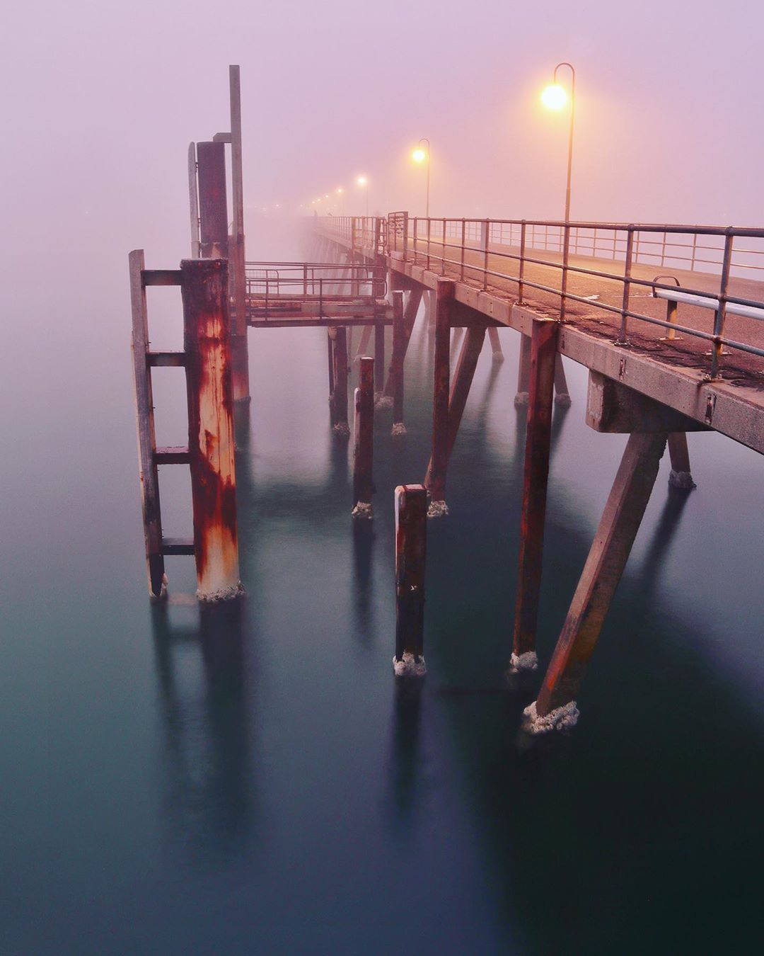 Foggy morning in South Australia