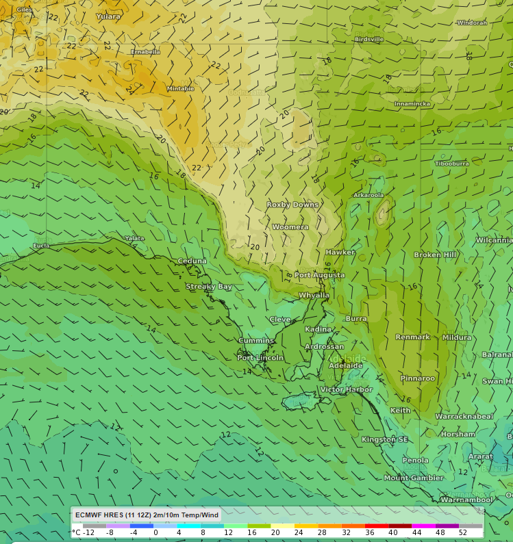 Warm night for South Australia