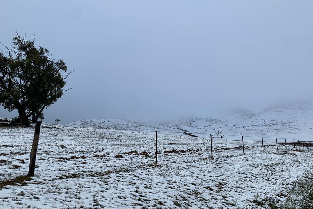 Spring snow in South Australia