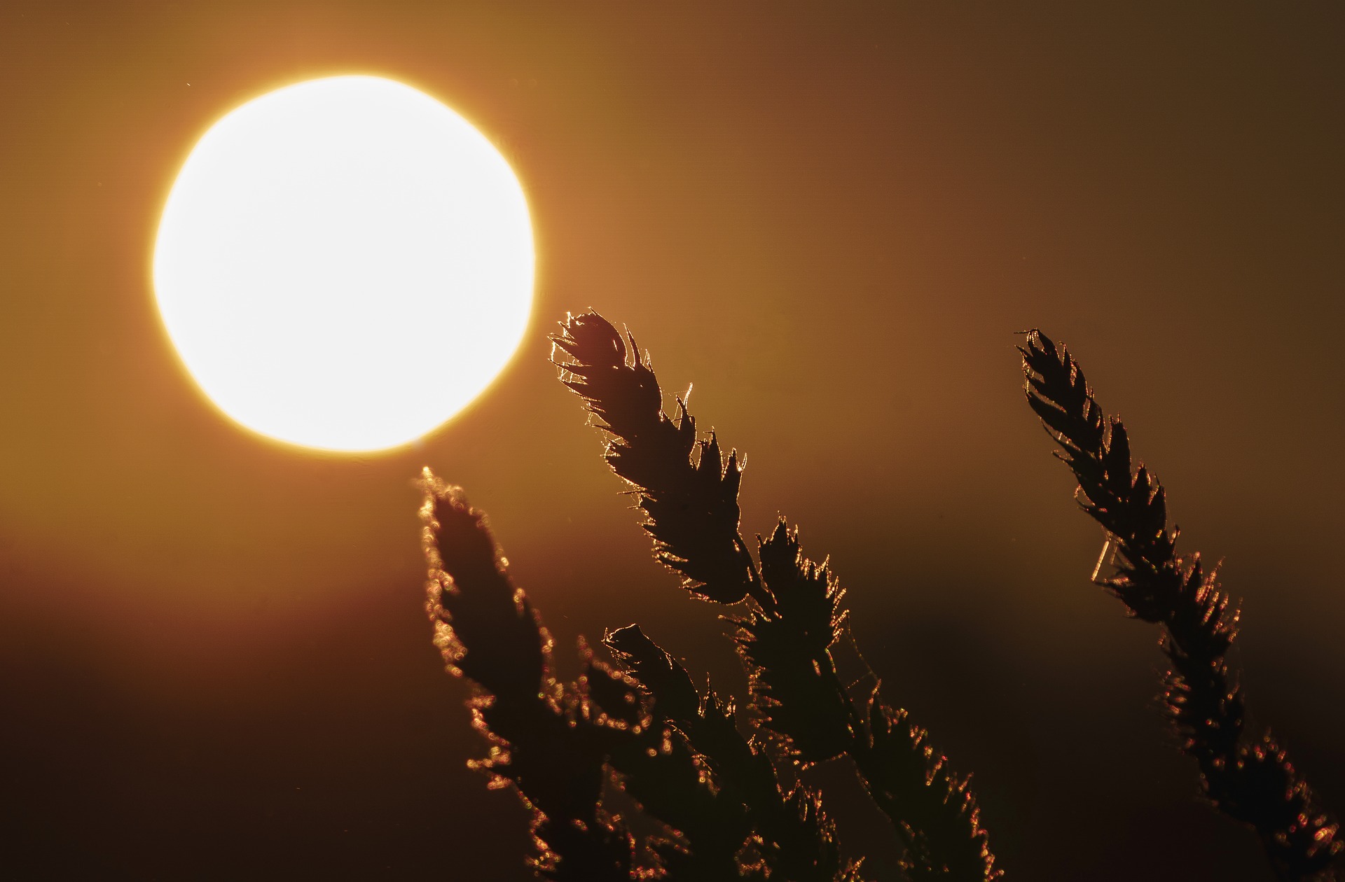 Australia's hottest spring on record