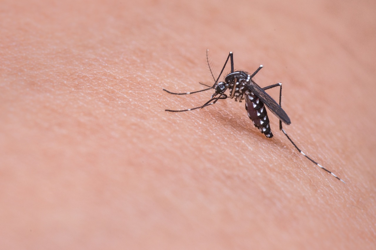 Do mosquitoes really bite some people more than others?