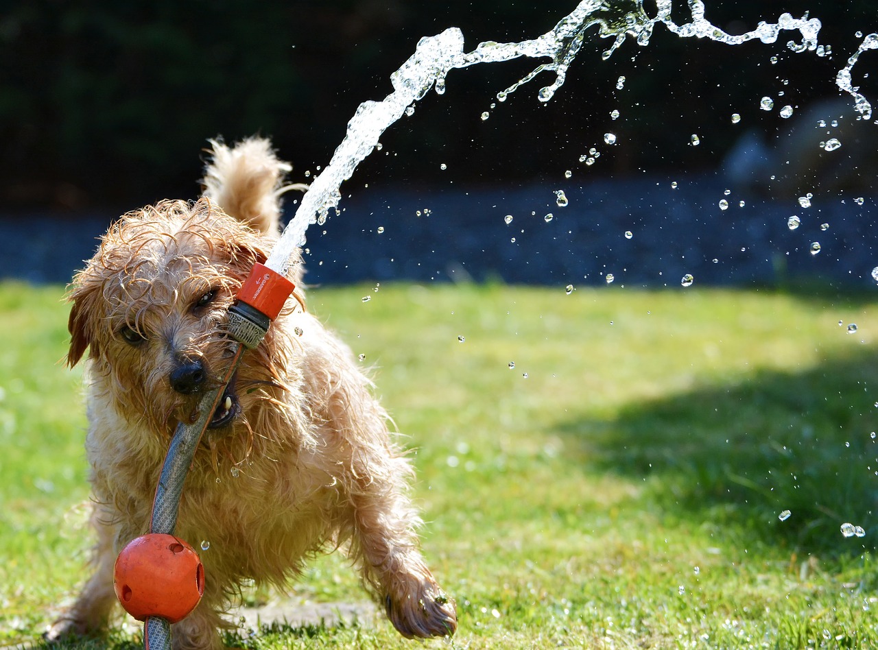 Revealed: What temperature makes a perfect summer's day?