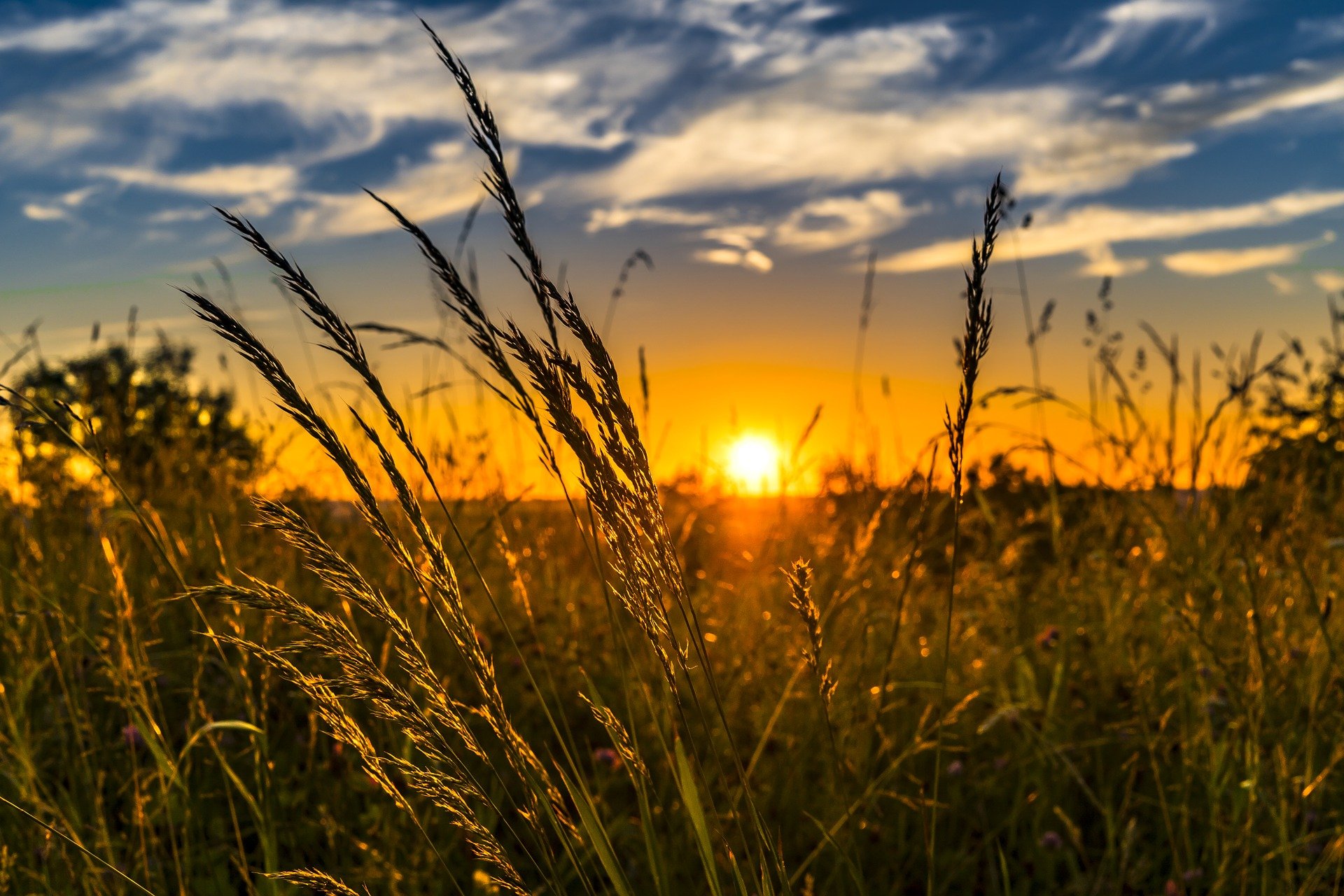 Brief summer heatwave in NSW