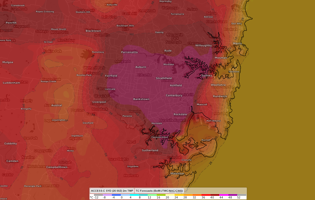 Sydney's hottest Australia Day since 1960